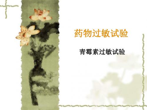 药物过敏试验