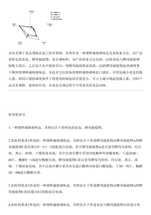 增鲜减钠调味盐及其设备制作方法与设计方案