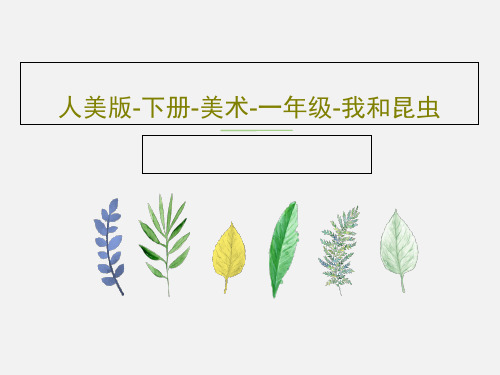 人美版-下册-美术-一年级-我和昆虫36页PPT