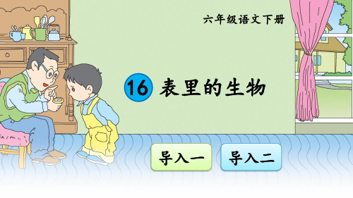 部编人教版六年级语文下册《表里的生物》优秀课件