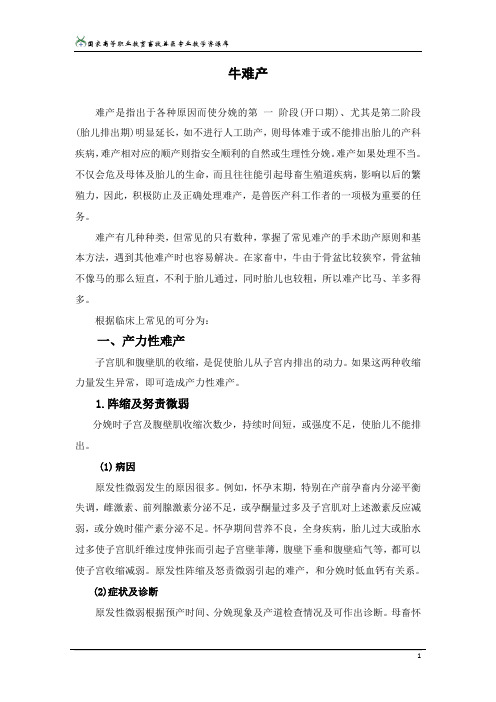 3牛难产(产力性难产、产道性难产、胎儿性难产)解析