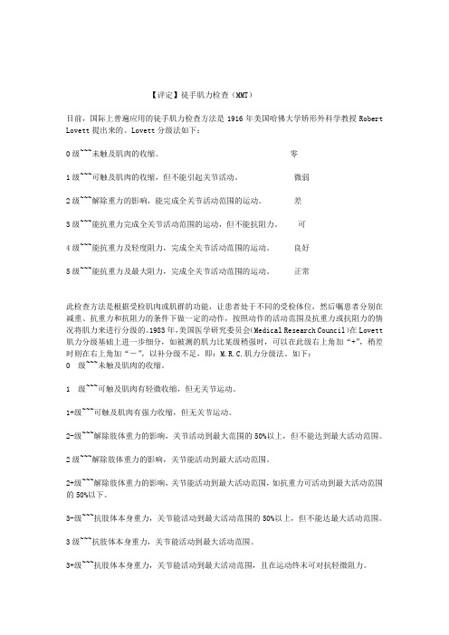 徒手肌力检查