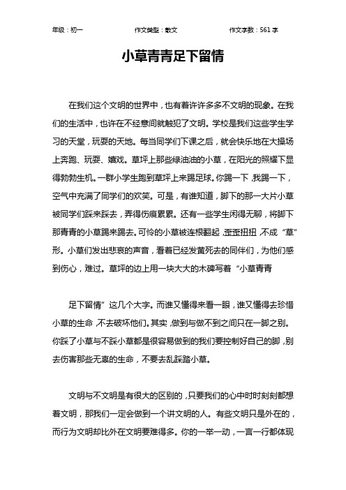 小草青青足下留情作文【初中初一600字】
