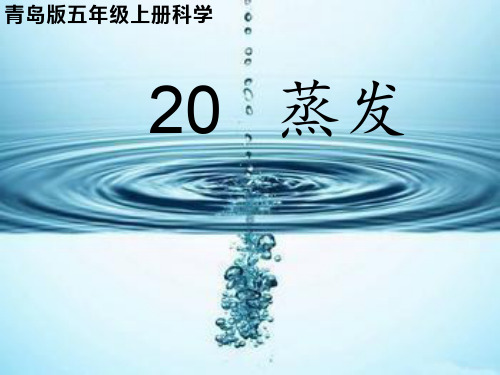 课件设计_小学科学_蒸发.ppt