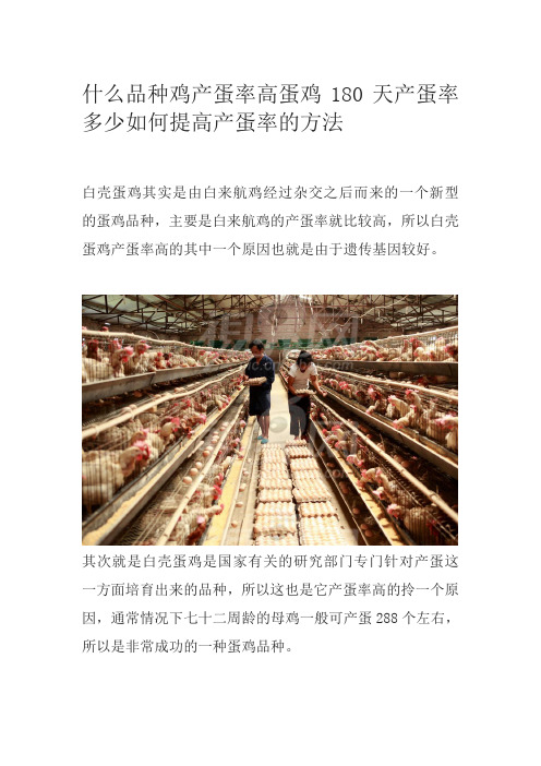 什么品种鸡产蛋率高蛋鸡180天产蛋率多少如何提高产蛋率的方法