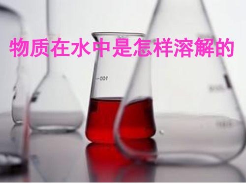 四年级上册科学课件-2.2 物质在水中是怎样溶解的｜教科版 (共16张PPT)