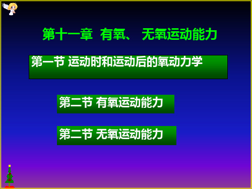 有氧和无氧运动能力