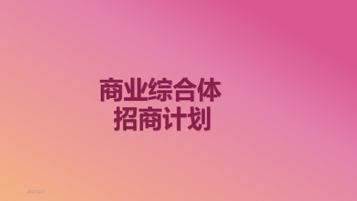 商业综合体招商运营方案ppt