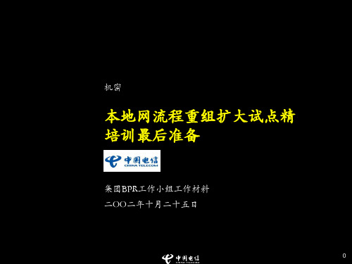 麦肯锡-中国电信BPR扩大试点精培准备20021025