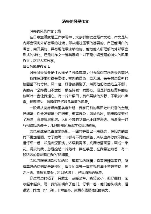 消失的风景作文3篇