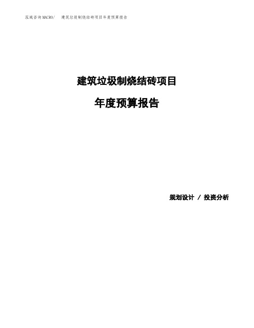 建筑垃圾制烧结砖项目年度预算报告