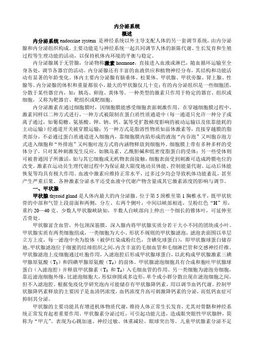 内分泌系统讲解