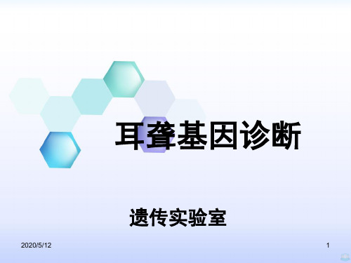 耳聋基因筛查PPT课件