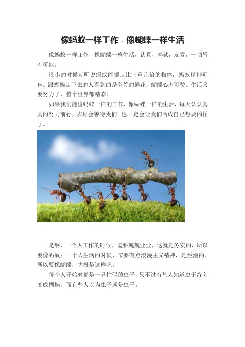 像蚂蚁一样工作