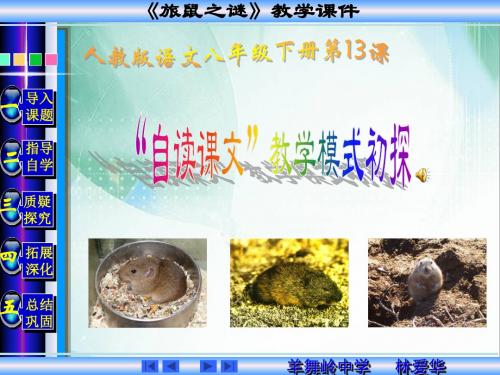 《旅鼠之谜》(湖南省益阳市赫山区龙光桥镇羊舞岭中学)