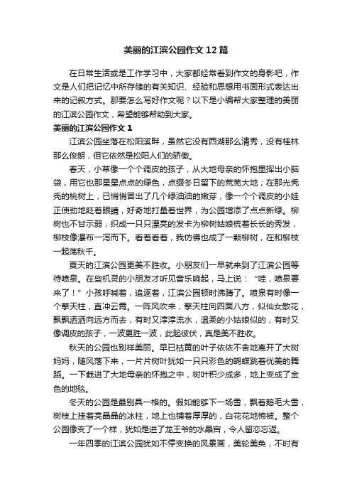 美丽的江滨公园作文12篇