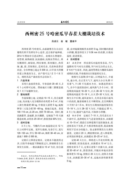 西州密25号哈密瓜早春茬大棚栽培技术