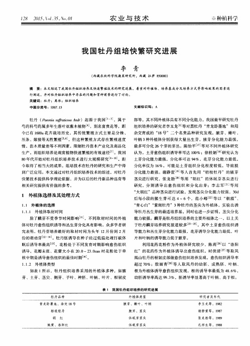 我国牡丹组培快繁研究进展