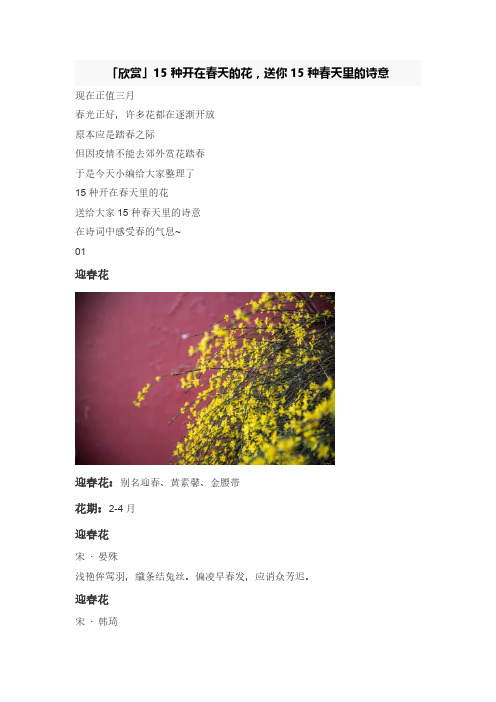 十五种开在春天的花,送你十五种春天里的诗意