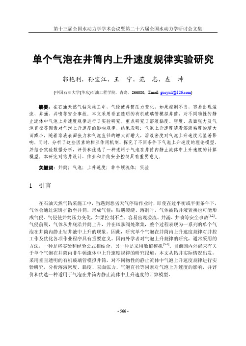 单个气泡在井筒内上升速度规律实验研究