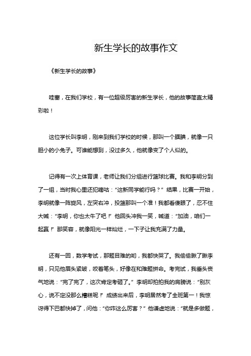 新生学长的故事作文
