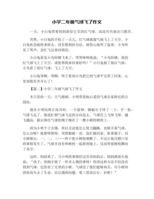 小学二年级气球飞了作文