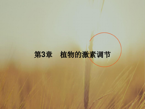 2018学年高中生物必修三课件：3.1植物生长素的发现