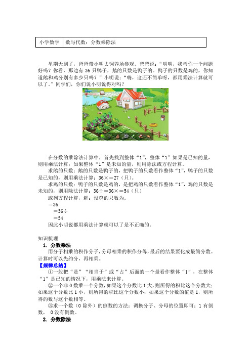 五年级数学下册专题知识讲义-数与代数：分数乘除法-北师大版