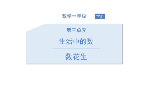 《数花生》生活中的数ppt课件