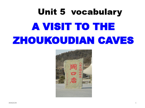 人教课标版高中英语选修8Unit5 vocabulary   (共27张PPT)