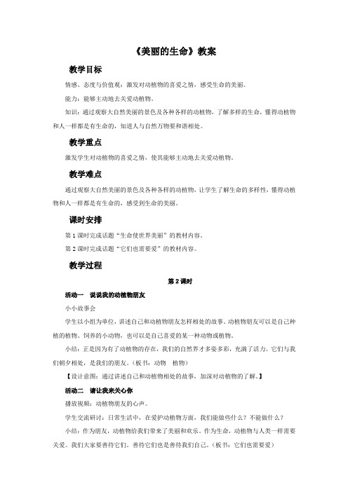 美丽的生命第二课时