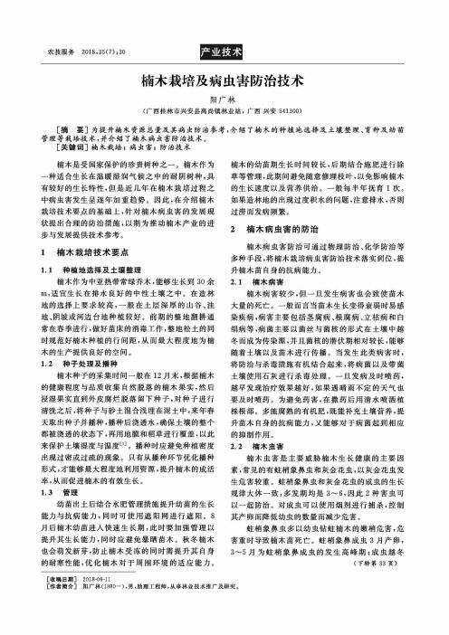 楠木栽培及病虫害防治技术