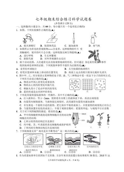 浙江省杭州地区2019-2020学年第一学期七年级科学期末综合练习试题卷Word版含答案