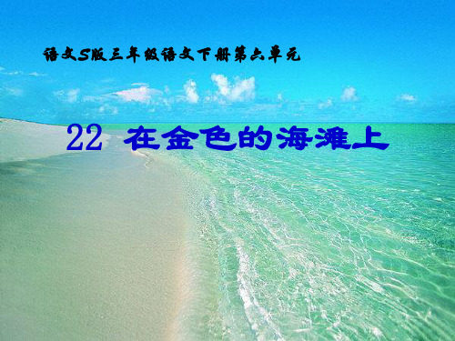 语文S版语文三下《在金色的海滩上蜓》ppt课件2