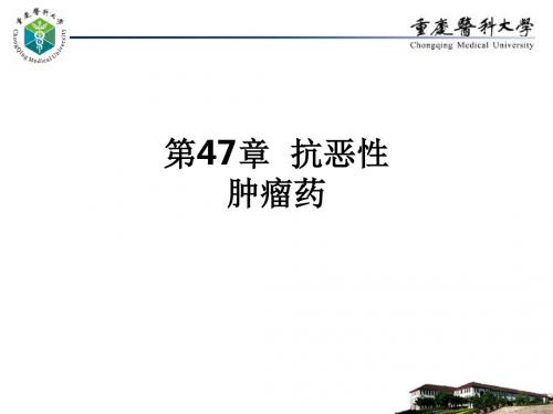 第47章  抗恶性肿瘤药ppt课件