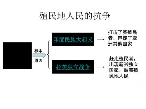 九年级历史殖民地人民的抗争