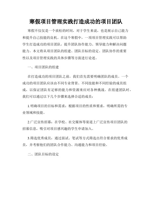 寒假项目管理实践打造成功的项目团队