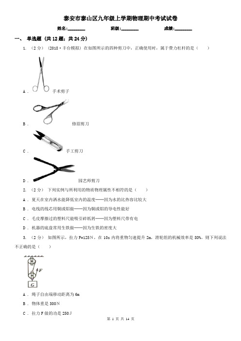 泰安市泰山区九年级上学期物理期中考试试卷