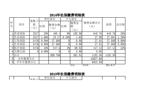 16年社保缴费明细表