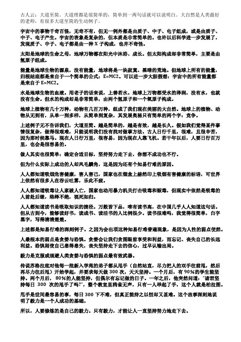 大道至简悟者大成