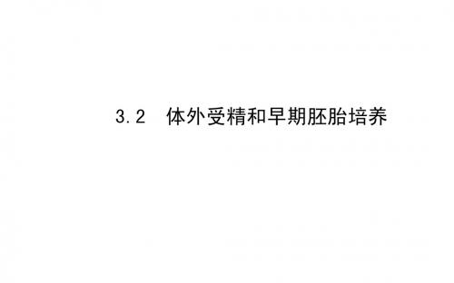 3.2体外受精和早期胚胎培养 课件