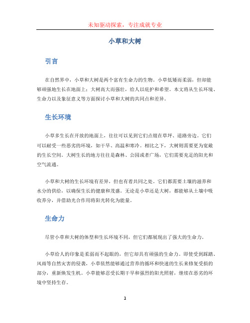 小草和大树