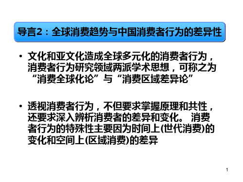 消费者行为学 第六章 全球消费趋势