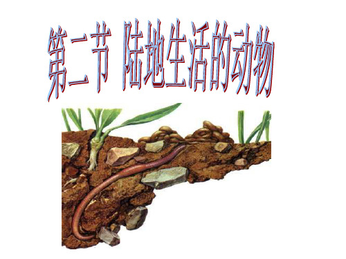 生物：1.2《陆地生活的动物》课件(人教版八年级上)