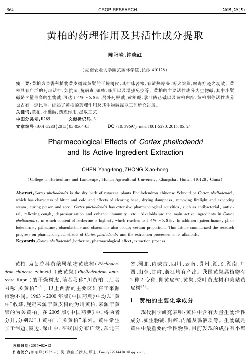 黄柏的药理作用及其活性成分提取