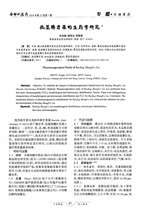 抱茎獐牙菜的生药学研究