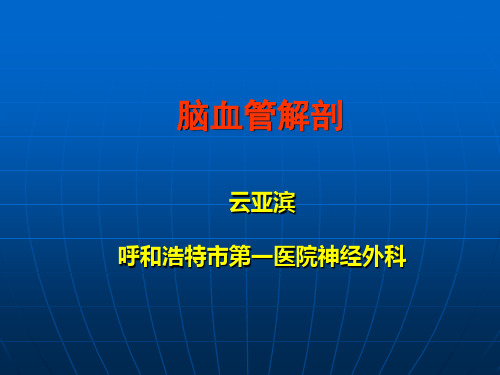 脑血管解剖(1)
