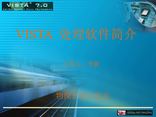 Vista使用流程介绍