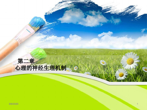 《普通心理学》第二章心理的神经生理机制