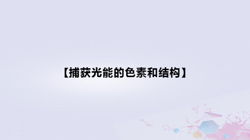 新教材2023届高考生物一轮复习17光合作用1_捕获光能的色素和结构课件必修1